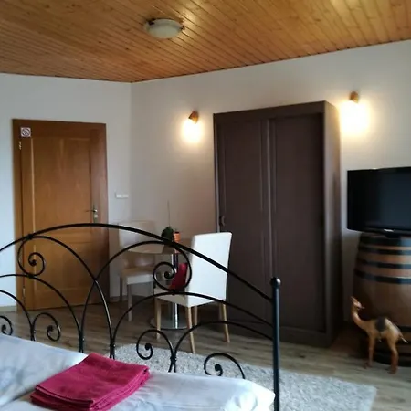 Stefan Drevko Guest house 3*